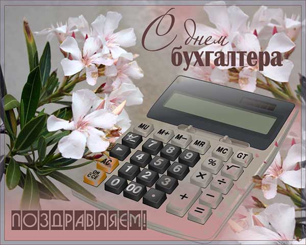открытка с Днём Бухгалтера с калькулятором